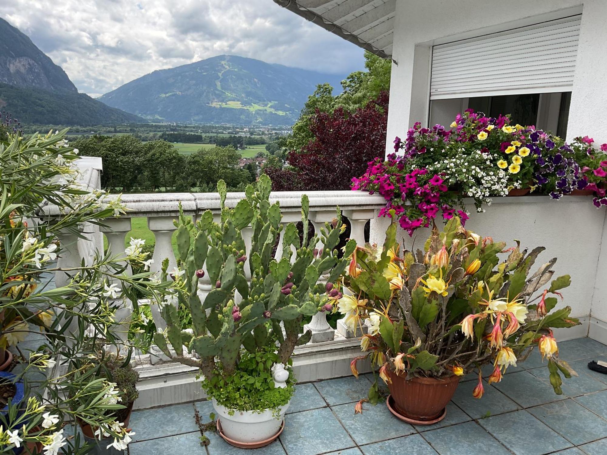 Apartment Fricks Dölsach